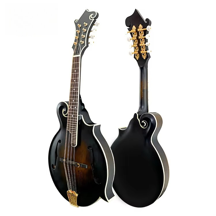 High Quality Professional F-st - Mandolin A Style review and price