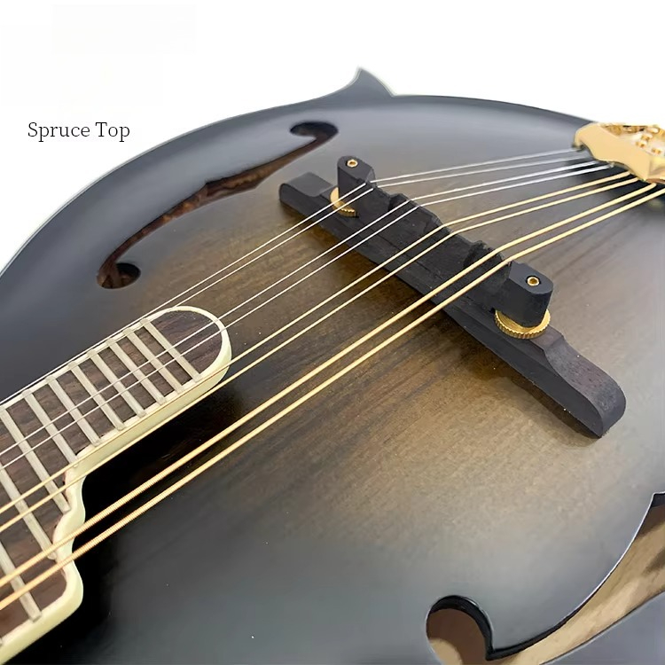 High Quality Professional F-st - Mandolin A Style review and price