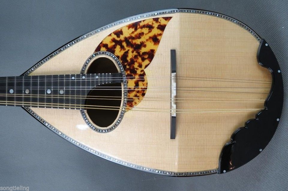 Professional Japanese style 8s - Mandolin A Style review and price