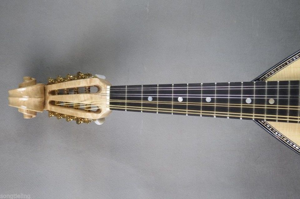 Professional Japanese style 8s - Mandolin A Style review and price